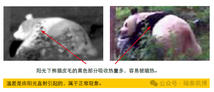 必备技能 _ 你一定要知道的红外热像仪使用必备知识点——第二期-1.png